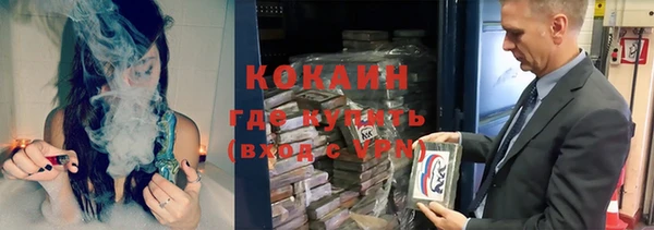 прущие грибы Кинешма