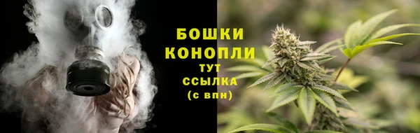 индика Козловка