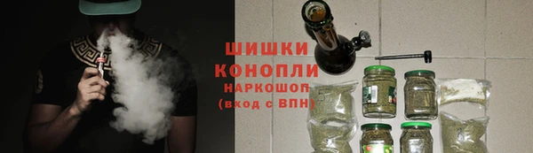 индика Козловка