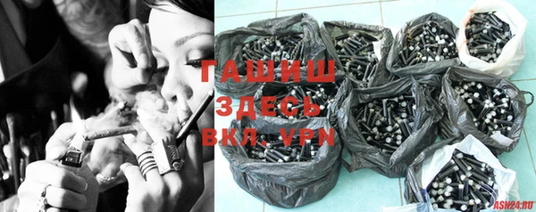 индика Козловка