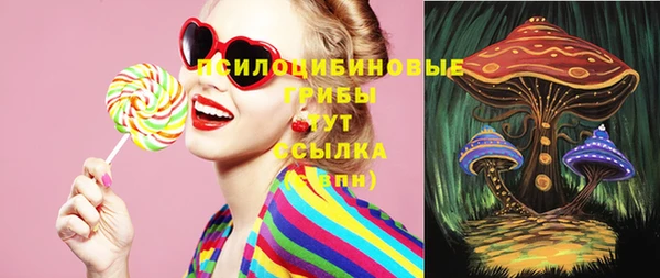 apvp Киреевск