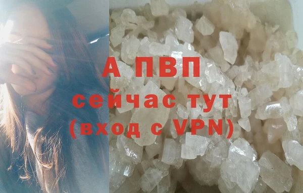 эйфоретик Болотное